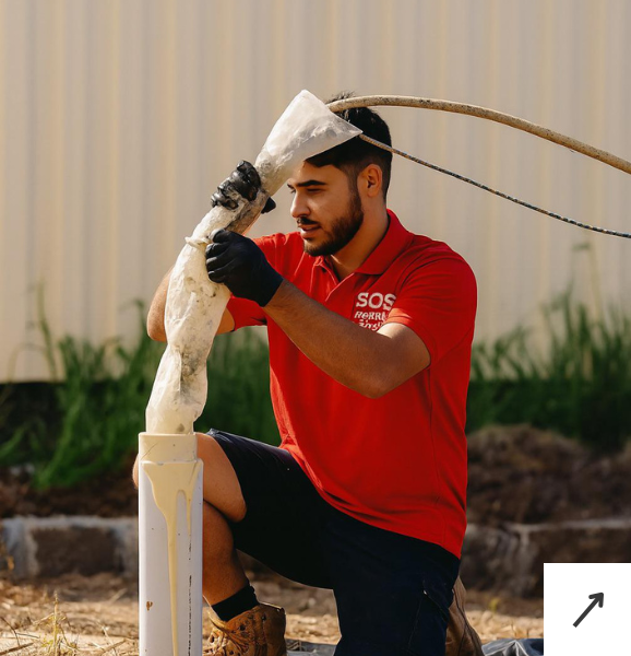 Tree Root Intrusion in Adelaide Drains: A Complete Overview